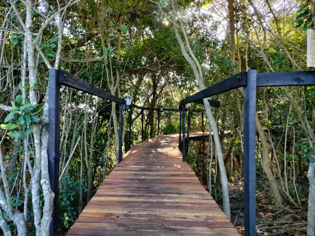 The Tsitsikamma Pyramid Hotel Stormsrivier Ngoại thất bức ảnh